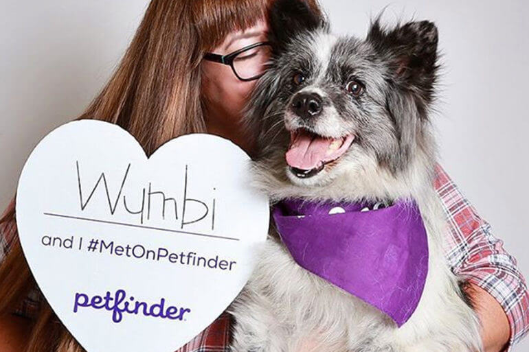 Pet Finder - A great site to adopt a pet