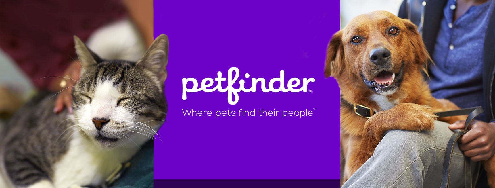 Pet Finder A great site to adopt a pet