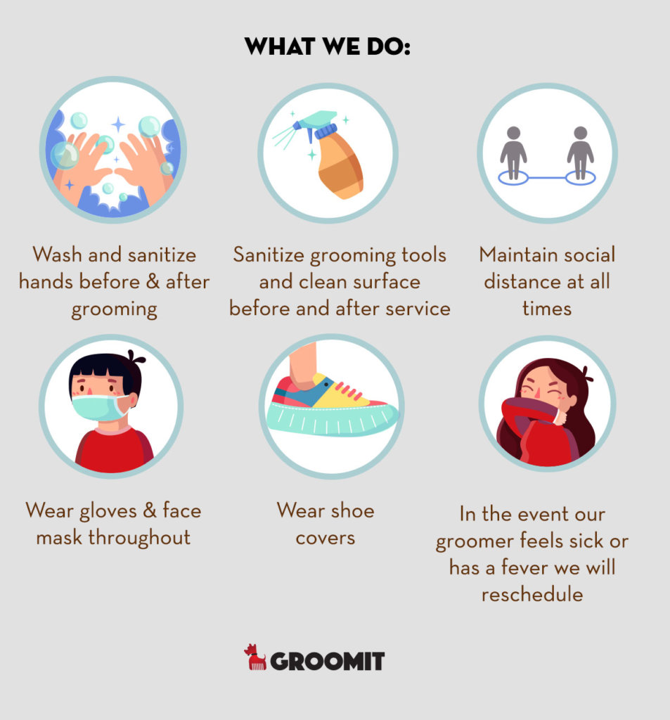 we wash our hands, sanitise tools and clean surface, maintain social distance, wear face mask and shoe covers and we will reschedule in the event our groomer feels sick