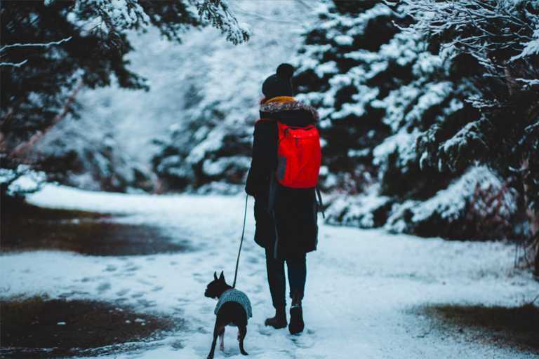Cold Weather Walking Tips for Dogs