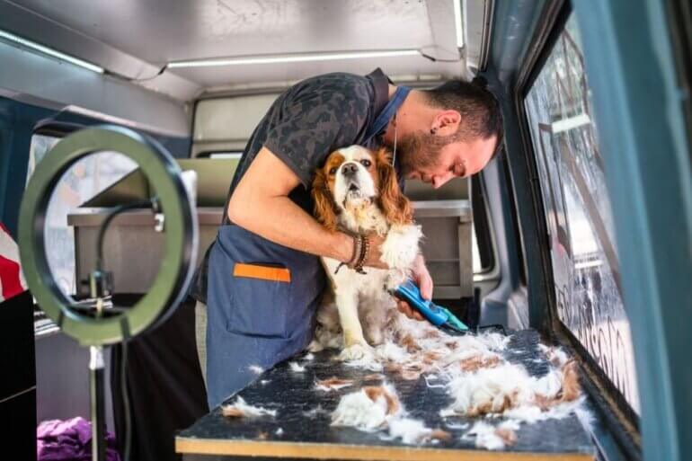 Mobile dog grooming van parked in a neighborhood