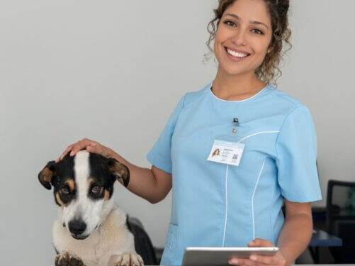 Significance of Mobile Pet Grooming